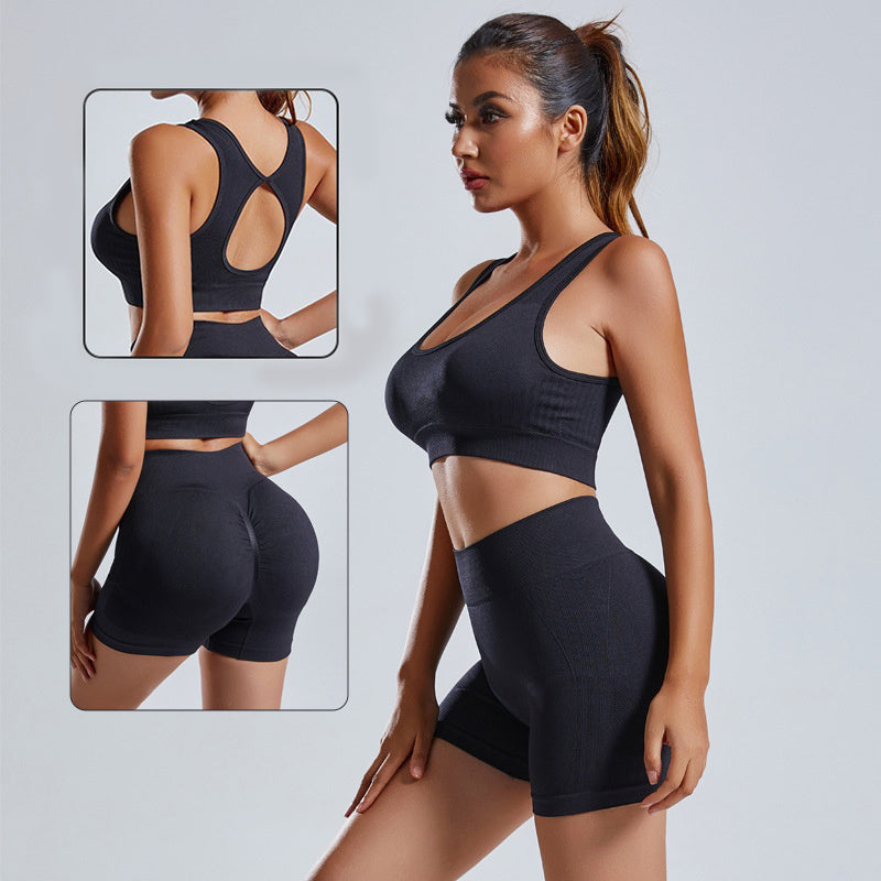 Women's 2 Piece Seamless Yoga Set Vest Shorts