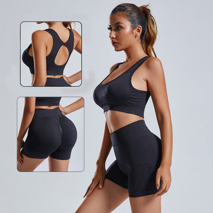 Women's 2 Piece Seamless Yoga Set Vest Shorts