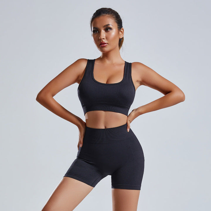 Women's 2 Piece Seamless Yoga Set Vest Shorts